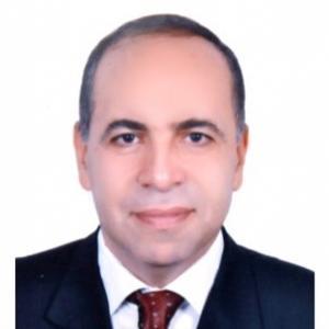 Hesham Elsayed Abdelghany Moussa