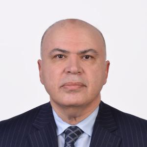 UNDP Bahrain Resident Representative